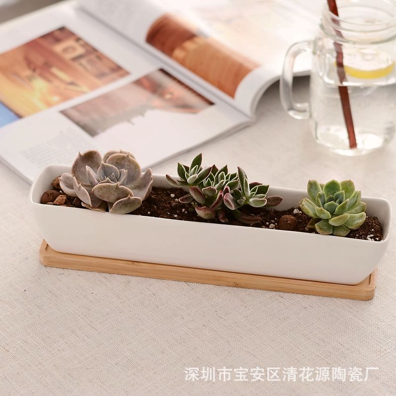 ceramic white rectangular flowerpot