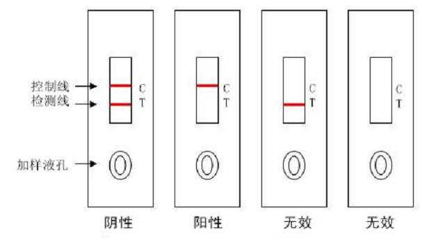 检测卡使用_副本_副本1