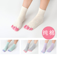 �ﶬŮʿ��ָ�m���޲����n��o�����ֺ�m�����l