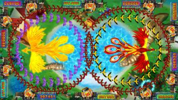 微盘交易系统源码_微盘交易系统源码供应商_