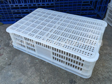 �V������ˮ���S���b�\���z�W�ۿ� �|���ò�ժ�ռ{�z�� �}���؛��