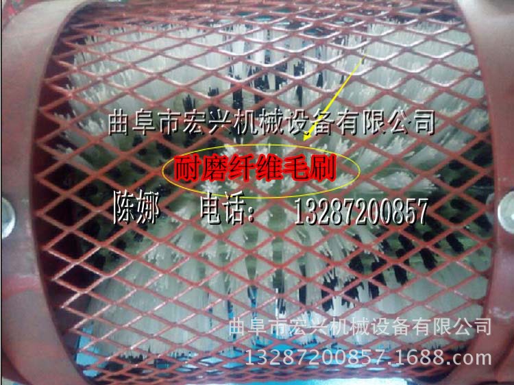 核桃去皮清洗设备 毛辊清洗机 专业去皮清洗机械