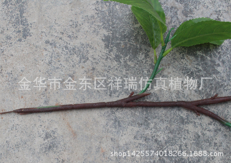 XRB-140木荷叶3叉枝15叶1
