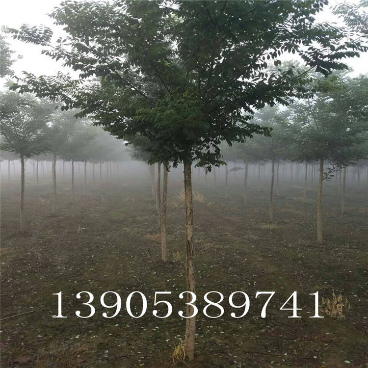 mmexport1475638079950