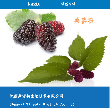 桑葚