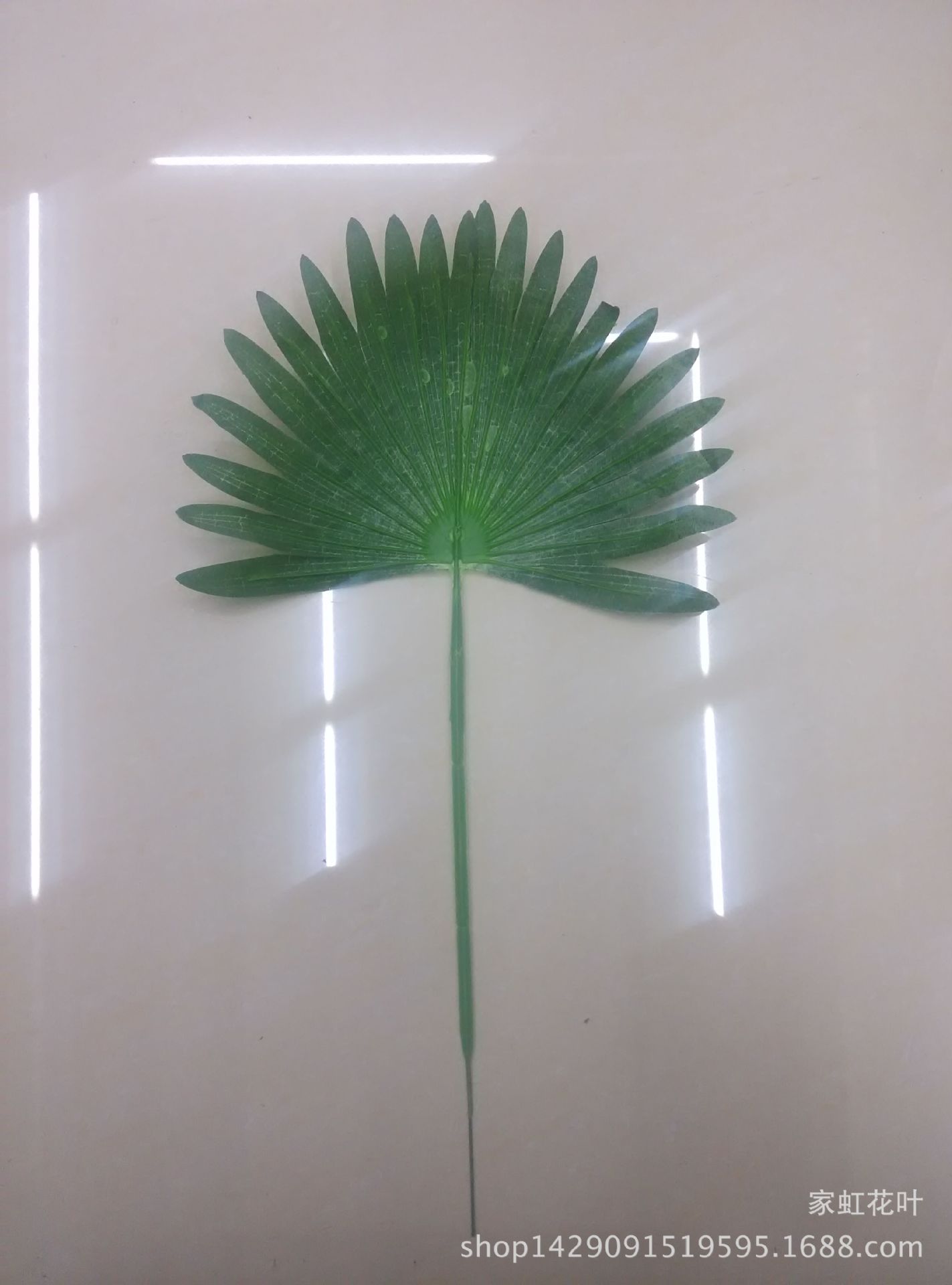 QQ图片20160318145212