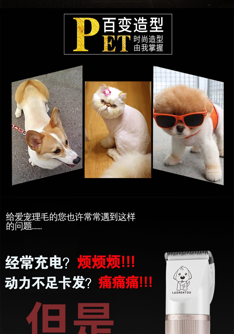 老人头B56宠物款详情750_02