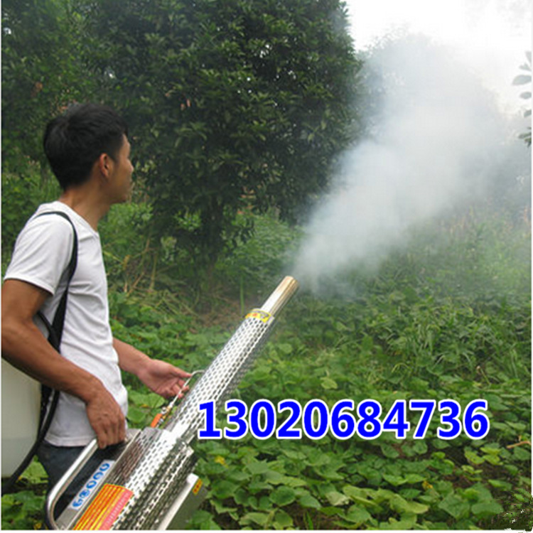 手提式弥雾机 蔬菜打药烟雾机