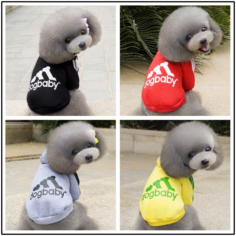 i2 XifKkz9SEOZkhuDrmzU3OTV6OujXLDaLu