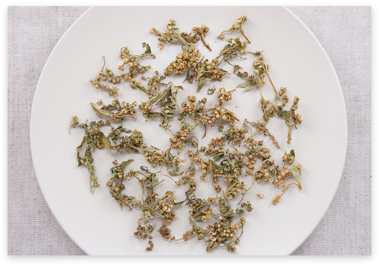 Gan Huang Cao Dried Hedyotis Herb Flower 500g Traditional Chinese Herbal Tea Ingredient quality and texture