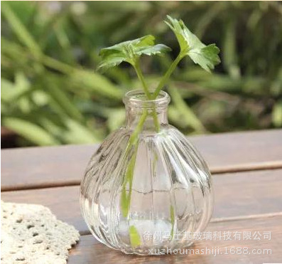 批发欧式小口南瓜花瓶家居摆件插花瓶干花插花器玻璃欧式复古花瓶