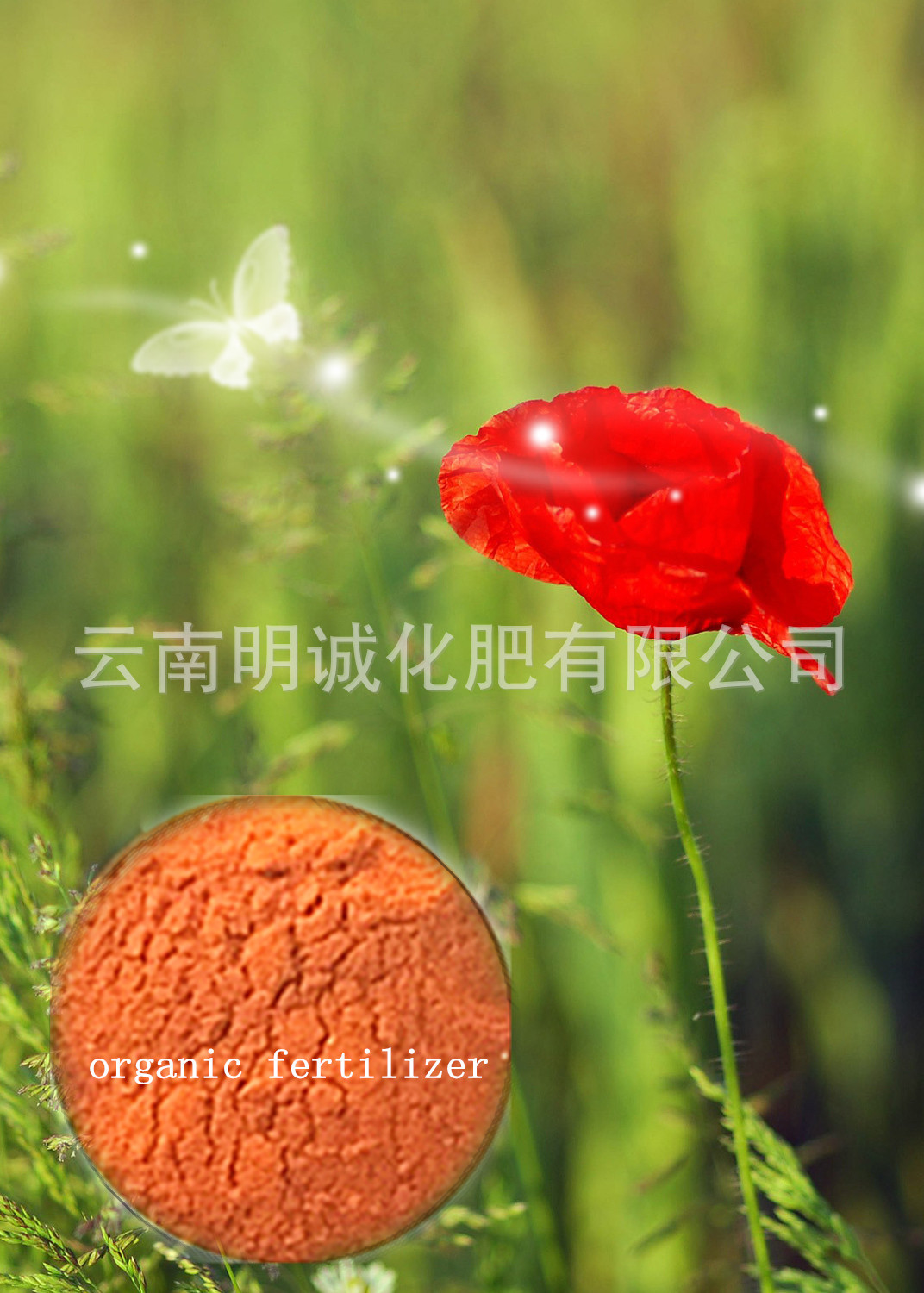 多肽酵母有机肥