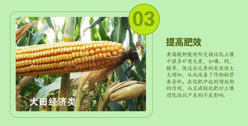 详情1_05