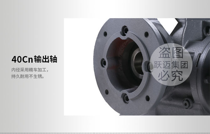 3034701999_790446038_副本