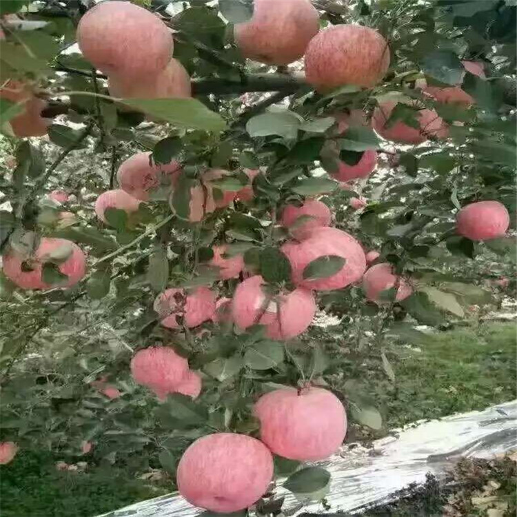 QQ图片20161025102018