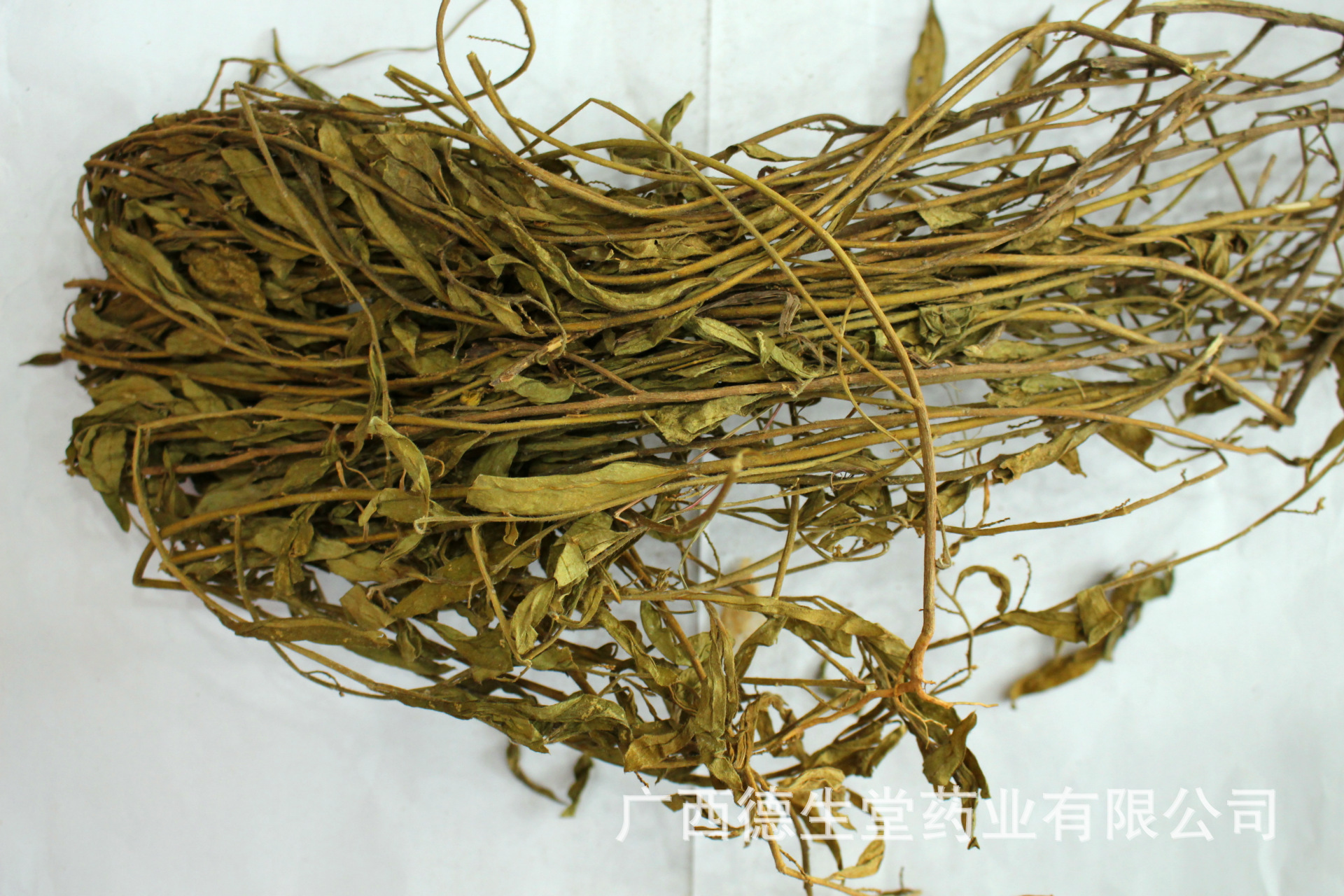 大金不换图片,金不换叶子图片,金不换图片大全_大山谷图库