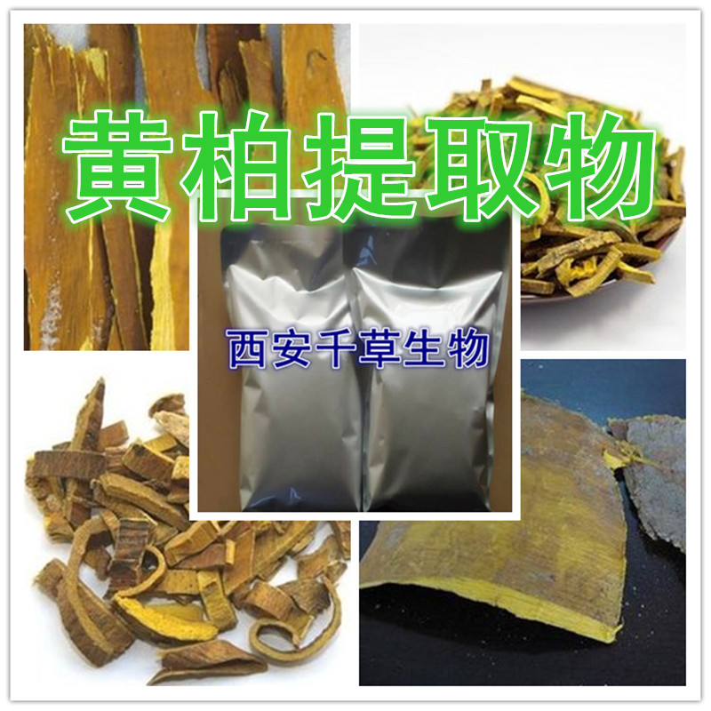 黄柏提取物