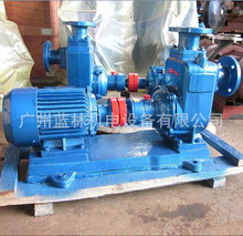 Pxı ZW250-420-20-55KW͸g۱