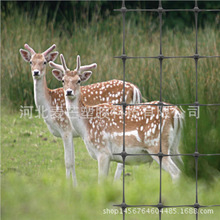 ¹W χ¹W BOPW  poly deer fencing