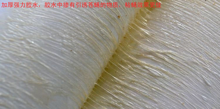 T2aGo3XnBXXXXXXXXX_!!36051768