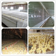 Ҏ��ɶ��� ����ϩPE���ϼ����Bֳ ©�S�W ���r�W