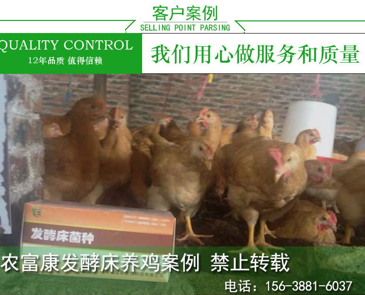 发酵床养鸡