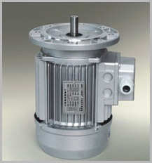 上海德东电机厂 YS 6324 铝壳 三相异步电动机 0.18KW