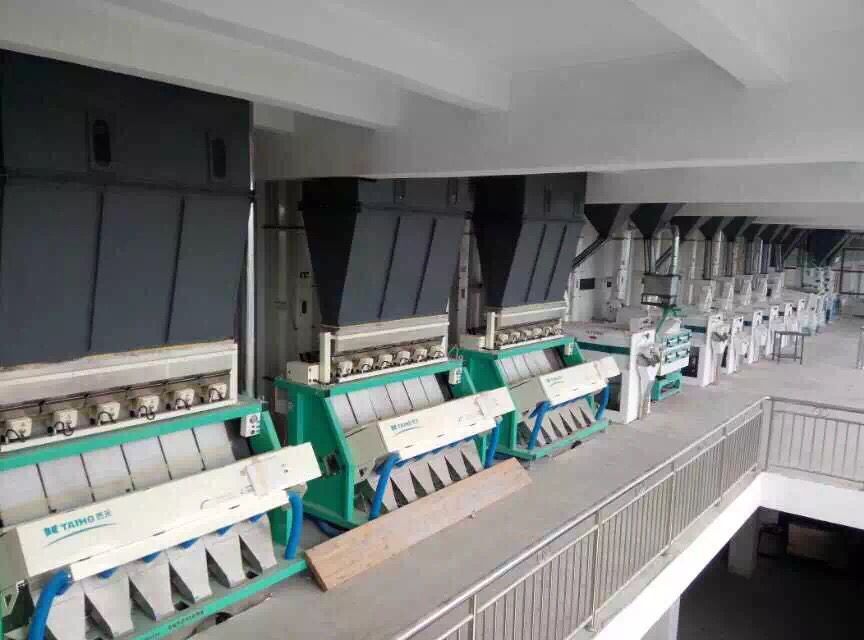 玉米色選機新19