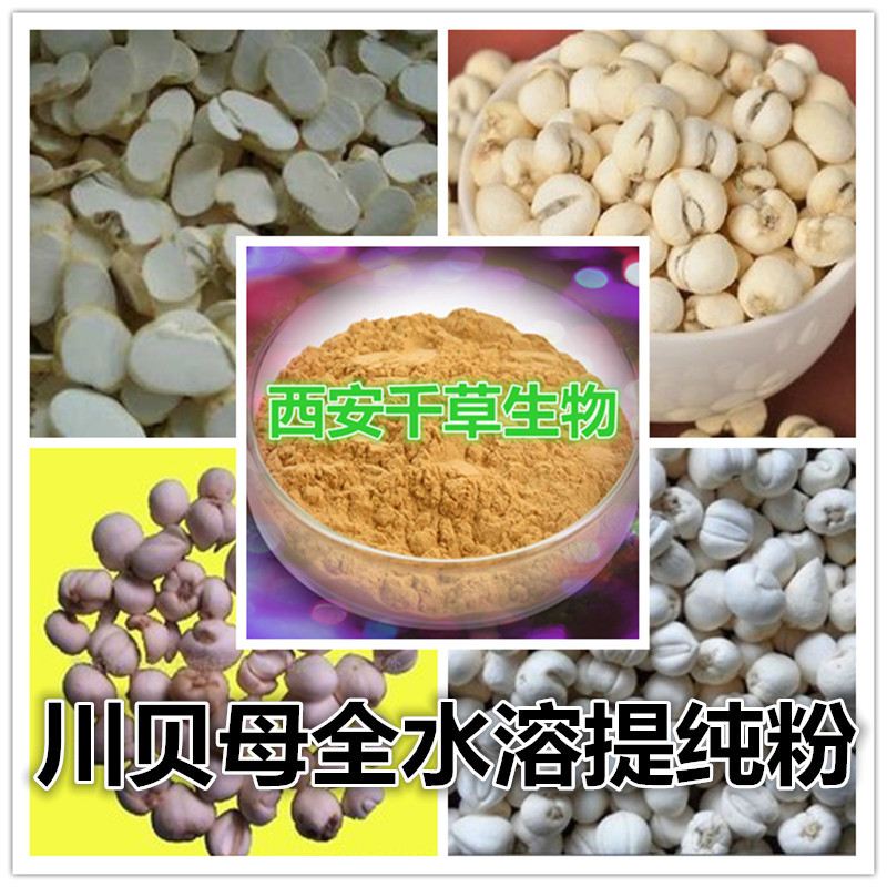 川贝母全水溶提纯粉