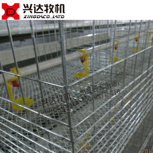 �ӯBʽ���u���ӻ\�B�O�� ���͎���S�C���u���ӻ\ �S��ֱ�N