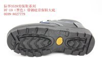 DT-10
