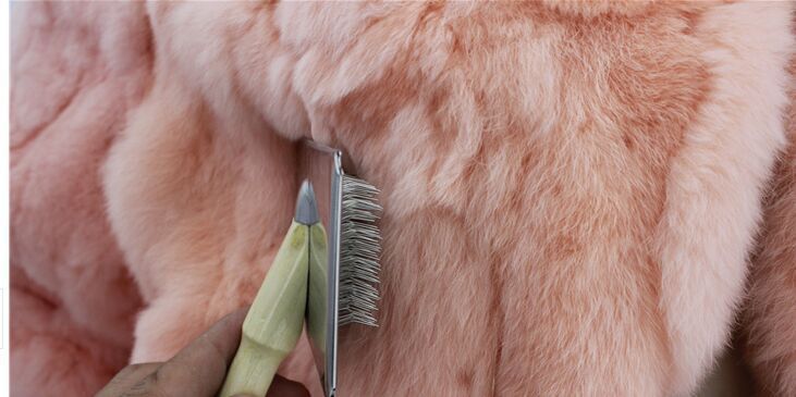 1932580454_1632340164