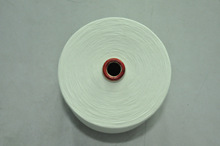 ��ȼ��]�� ���|��ȼ����  ������24S�|������