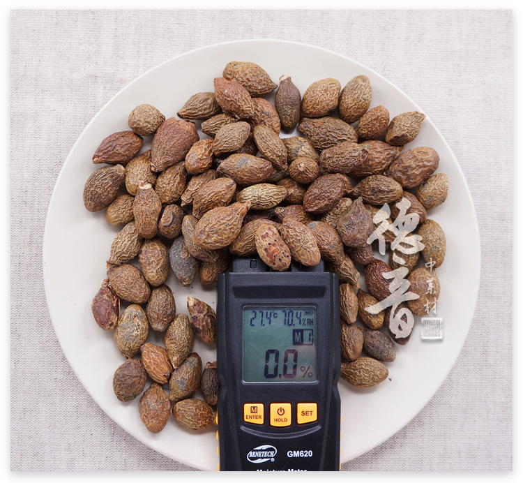 Pang Da Hai Long-Form Fat Sea Seed Loose Herbal Tea 500g for Soaking and Culinary Use quality and texture