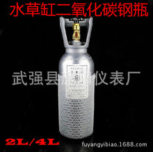 山东建设CO2钢瓶 二氧化碳气瓶2升4升钢瓶 水草造景