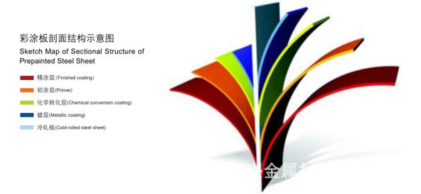 彩涂板剖面示意图