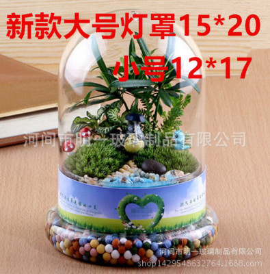 创意花瓶永生花景观罩情人节礼物玻璃罩diy工艺品微景观玻璃瓶|ru