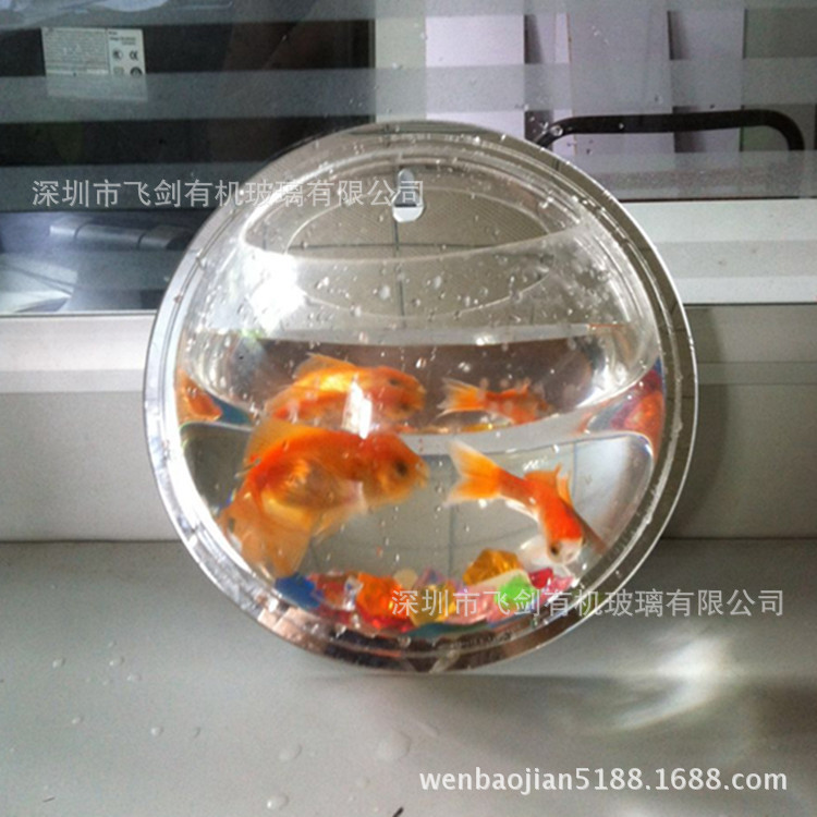 深圳飞剑亚克力厂家直销亚克力半圆鱼缸 亚克力迷你生态鱼缸