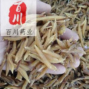 �춬ș�� ���T��  �춬��ș�� �������� 15��o�l���˓Q