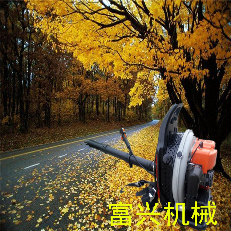 公路地面吹雪机吹风机图片_道路除尘机