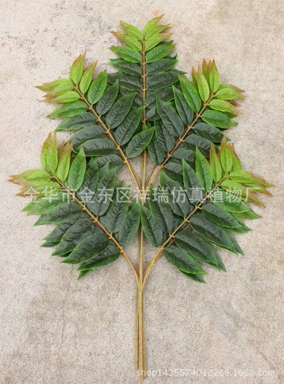 XRB-150天堂叶五叉枝5