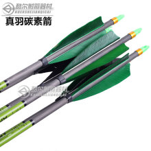 ̼���������̼�w�S���U��������C�����������C���⸂�����w���