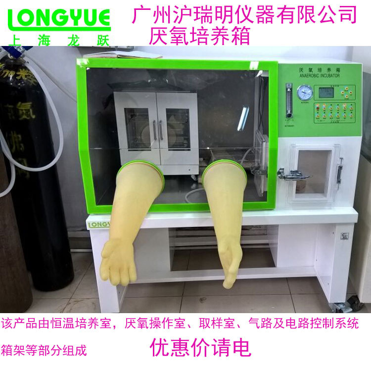 上海龙跃YQX-T厌氧培养箱YQX-II厌氧箱(氧气浓度直读)