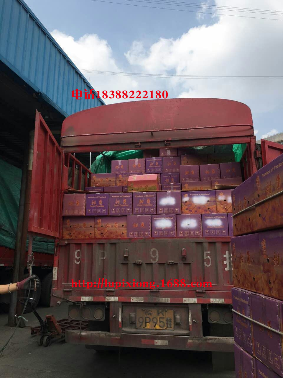 mmexport1456723105514