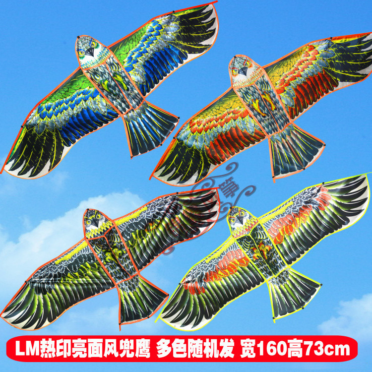 LM热印亮面风兜鹰 多色随机发 宽160高73cm