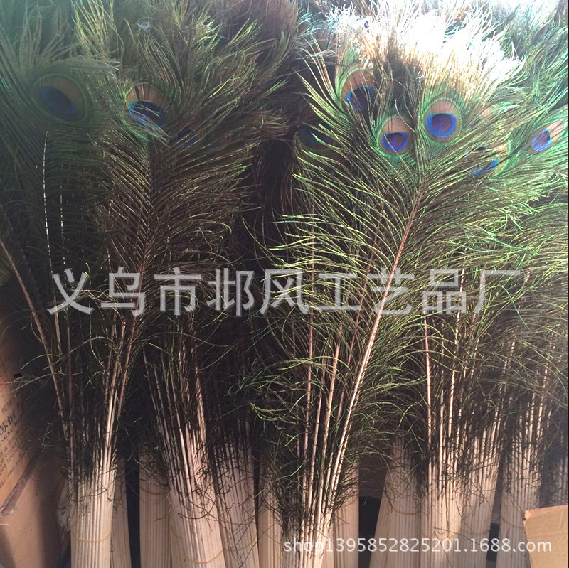 QQ图片20160412182322_副本