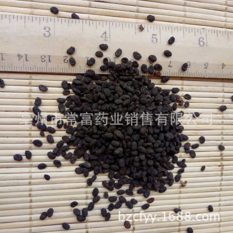 Psoralea Fruit Bu Gu Zhi Dried Whole Seeds 500g Traditional Chinese Herb from Yunnan overview