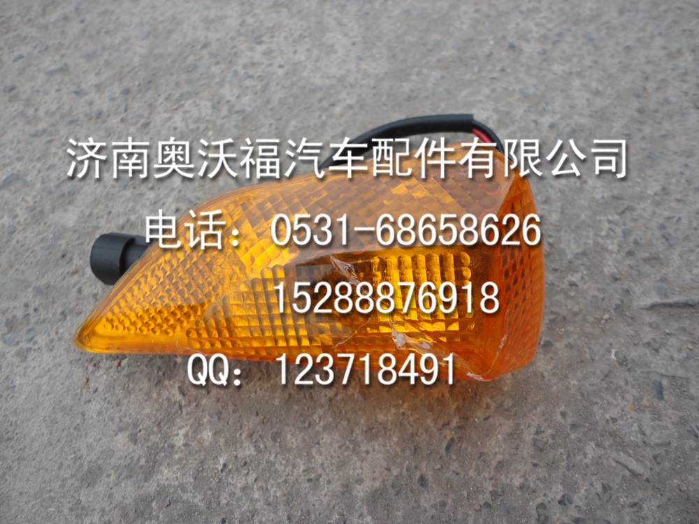 重汽豪沃陕汽德龙配件 WG9719720018 - 右侧转向灯供应商