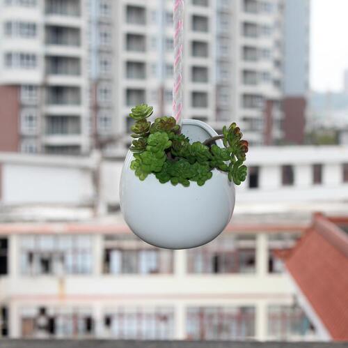Creative European-style ceramic wall-mounted flower pots for gardening succulents hanging pots semi-circular wall-mounted pothos ceramic pots