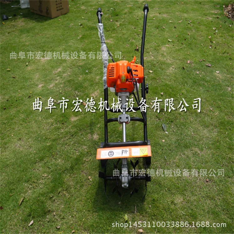 2282595137_1547416948